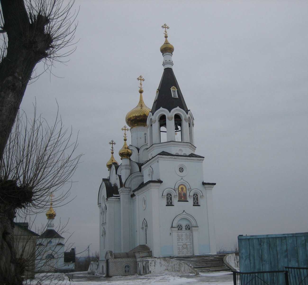 Тамбов село бокино. Бокино Церковь. Церковь Николая Чудотворца в Бокино. Храм Николая Чудотворца в Тамбове.